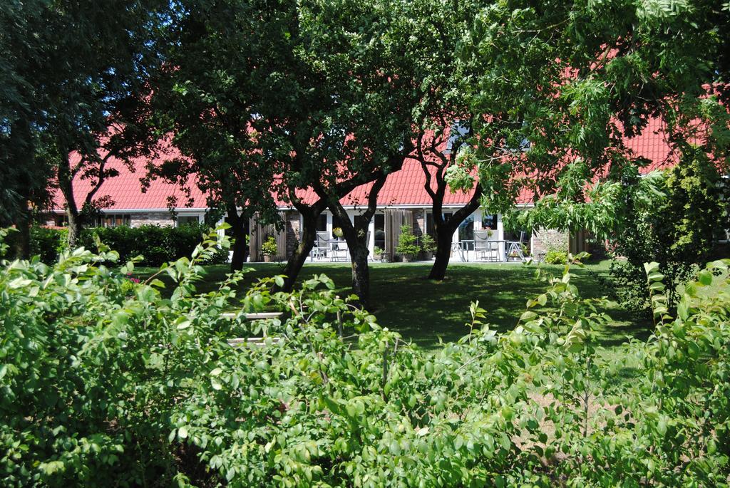 Appartementen Verhuur De Trijehoek Stiens Εξωτερικό φωτογραφία